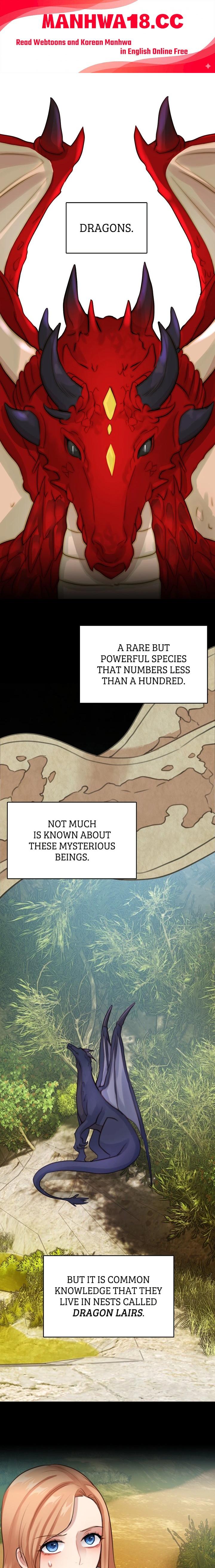 The Newlywed Diary of a Witch and a Dragon - Chapter 11 Page 1