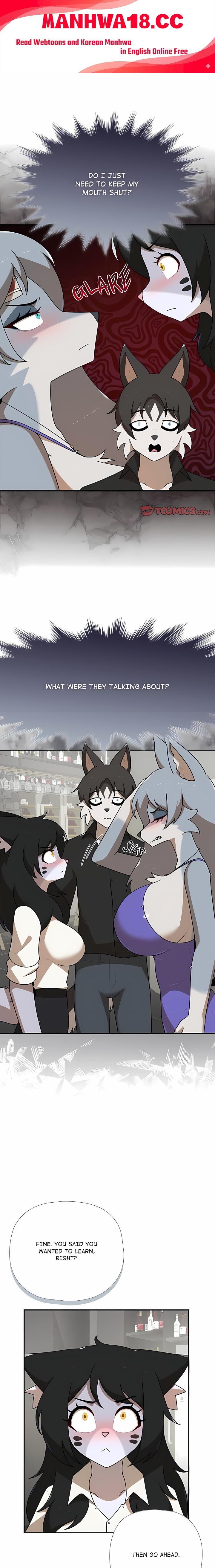 Paws on Campus - Chapter 49 Page 1