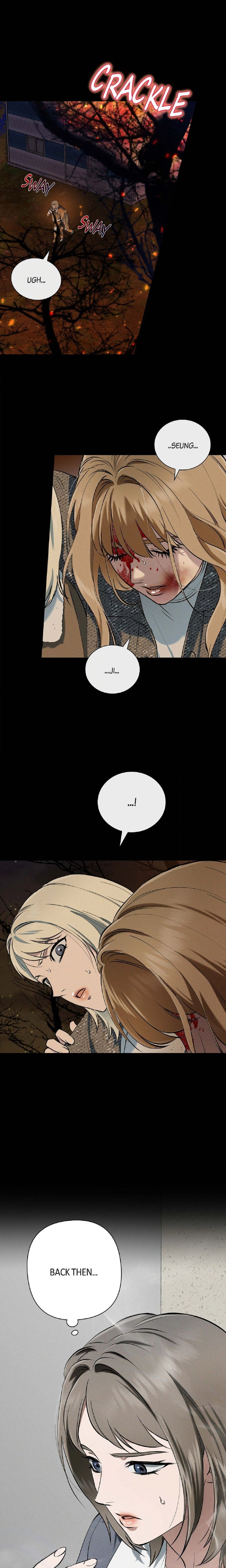Falling (DOG) - Chapter 68 Page 13
