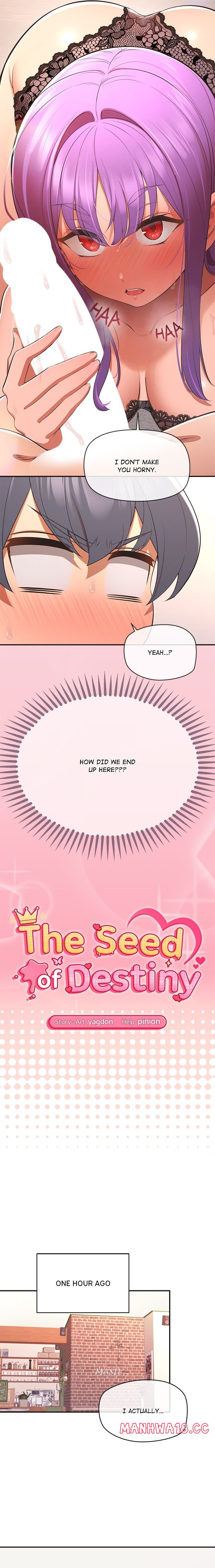 The Seed of Destiny - Chapter 14 Page 2