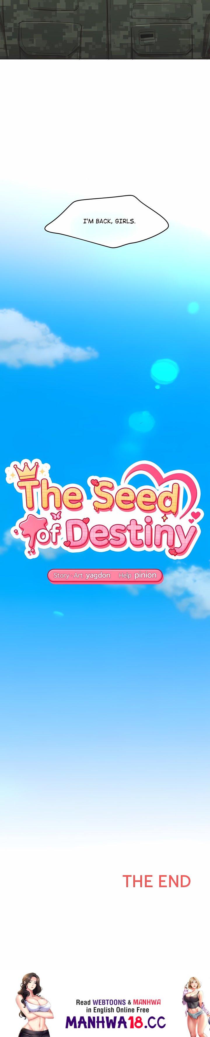 The Seed of Destiny - Chapter 50 Page 24